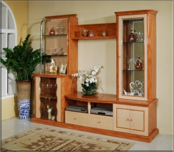 Стенка 8901 Киев