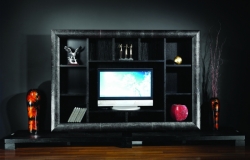 Стенка Смания Киев