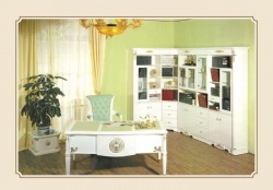 Кабинет 650 Киев