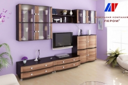 Стенка Лером 9_5 an 303 sliva vallis Киев