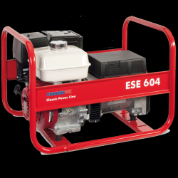 Генератор бензиновый ENDRESS ESE 604 HS Киев