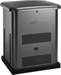 Генератор газовый Briggs & Stratton 040495 Киев
