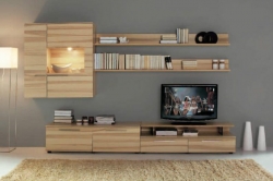 Гостиная SCALA Ясень Киев