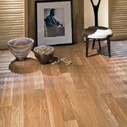 Линолеум TARKETT EVOLUTION (Таркетт Эволюшн) Киев