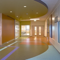 Линолеум гомогенный TARKETT iQ OPTIMA (Таркетт Оптима) Киев